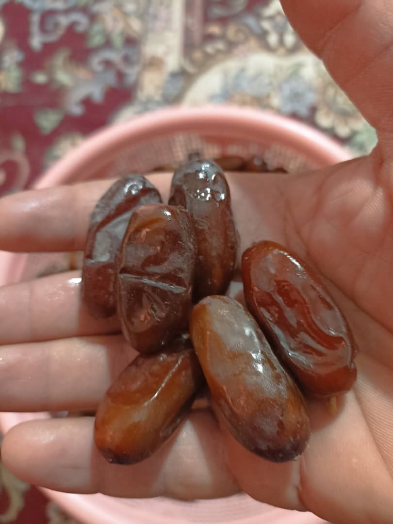 خوش قیمت خرمای ربی دلکان سیستان + فروش عالی