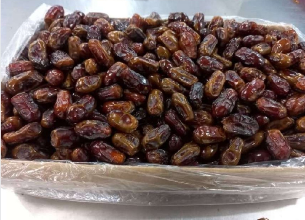 خرما استعمران صادراتی