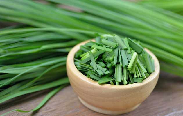قیمت سبزی تره فارس