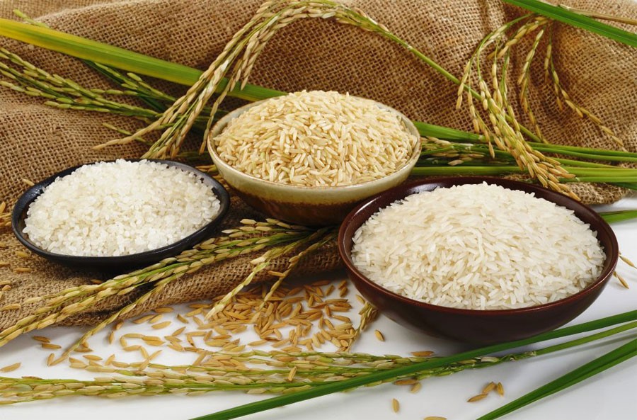 برنج عنبربوی خوزستان یا برنج شمال؟ مقایسه‌ای صادقانه از نظر کیفیت و قیمت