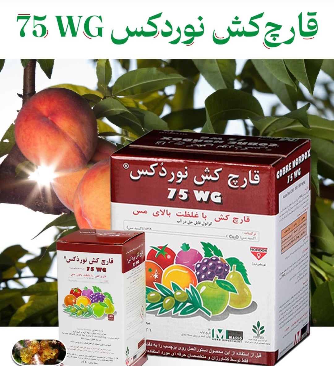 قیمت خرید قارچ کش نوردکس با غلظت بالای سی صادراتی