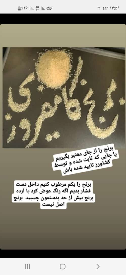 قیمت عمده برنج کامفیروزی چمپا