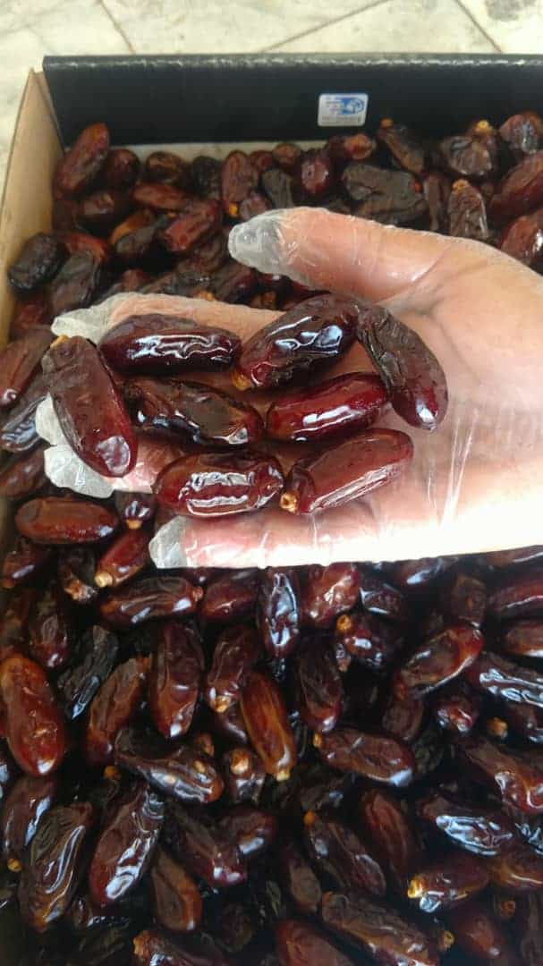 قیمت عمده خرما ربی