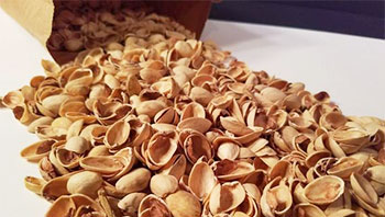 پوست پسته استخوانی بدون کالک + فروش با قیمت عالی