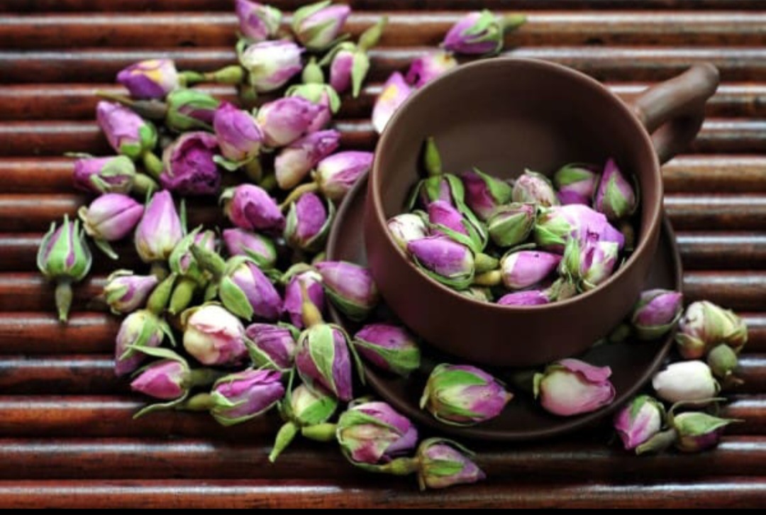 خرید غنچه گل محمدی دارابی