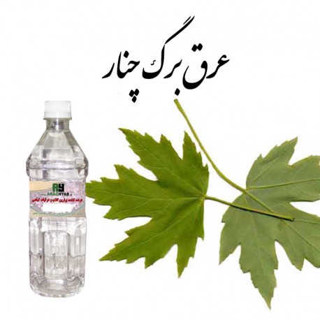 عرق برگ چنار برای سم‌زدایی پوست و کاهش خارش‌های آلرژیک