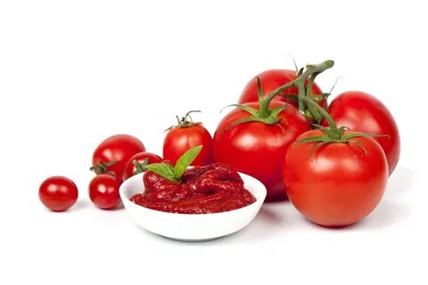 پخش عمده رب گوجه فرنگی ارزان