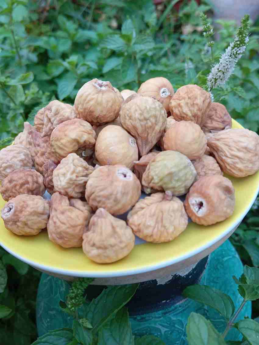 خرید انجیر خشک صادراتی زرین فارس