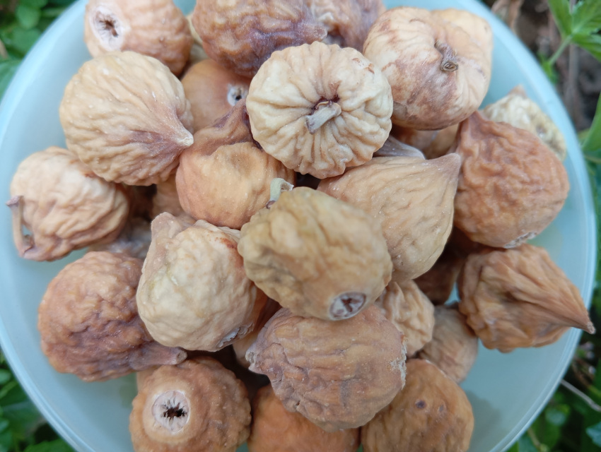 خرید انجیر خشک بسته بندی شده