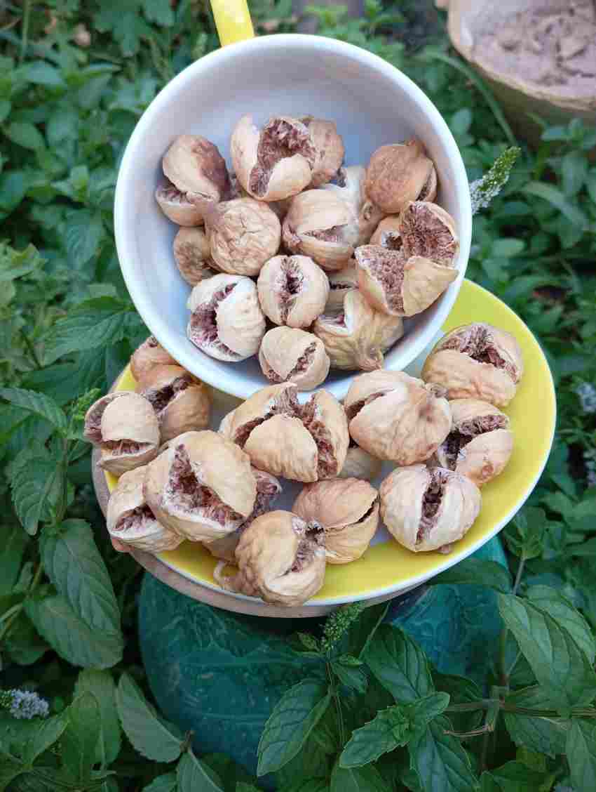 فروش انجیر خشک درجه یک در ایران