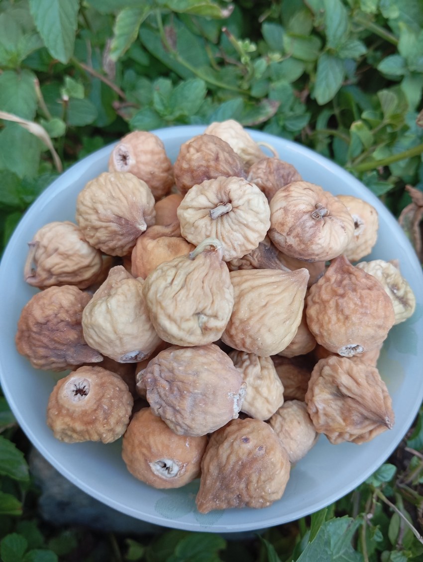 خرید انجیر خشک استهبان رنگ روشن + تخفیف ویژه