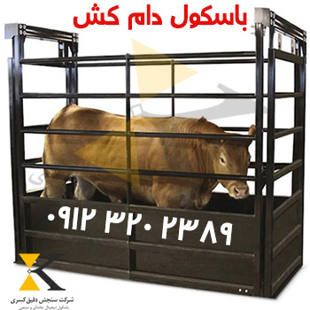 خرید باسکول گاو کش صنعتی با ظرفیت بالا و طراحی ضدزنگ