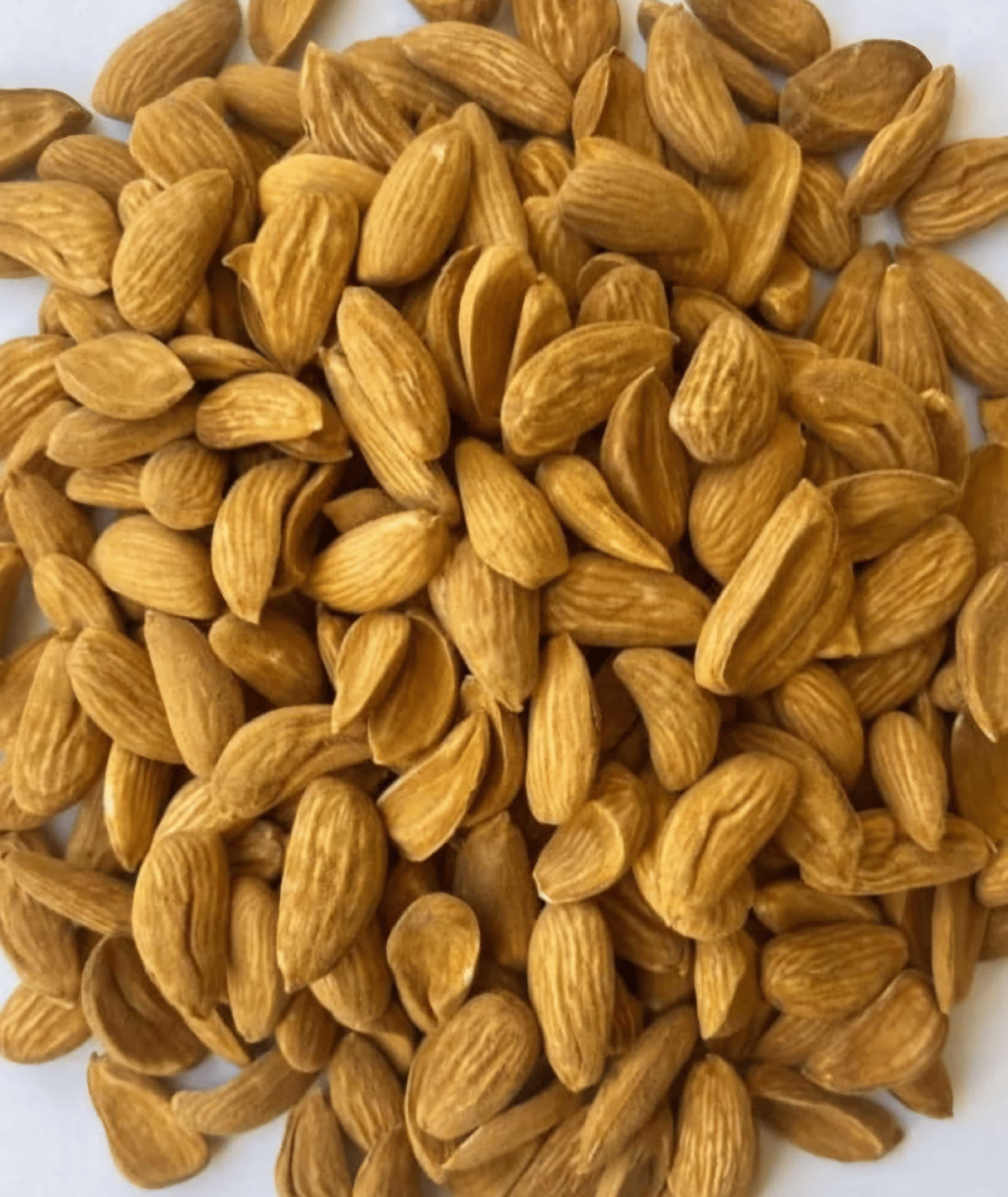 خرید مغز بادام صادراتی