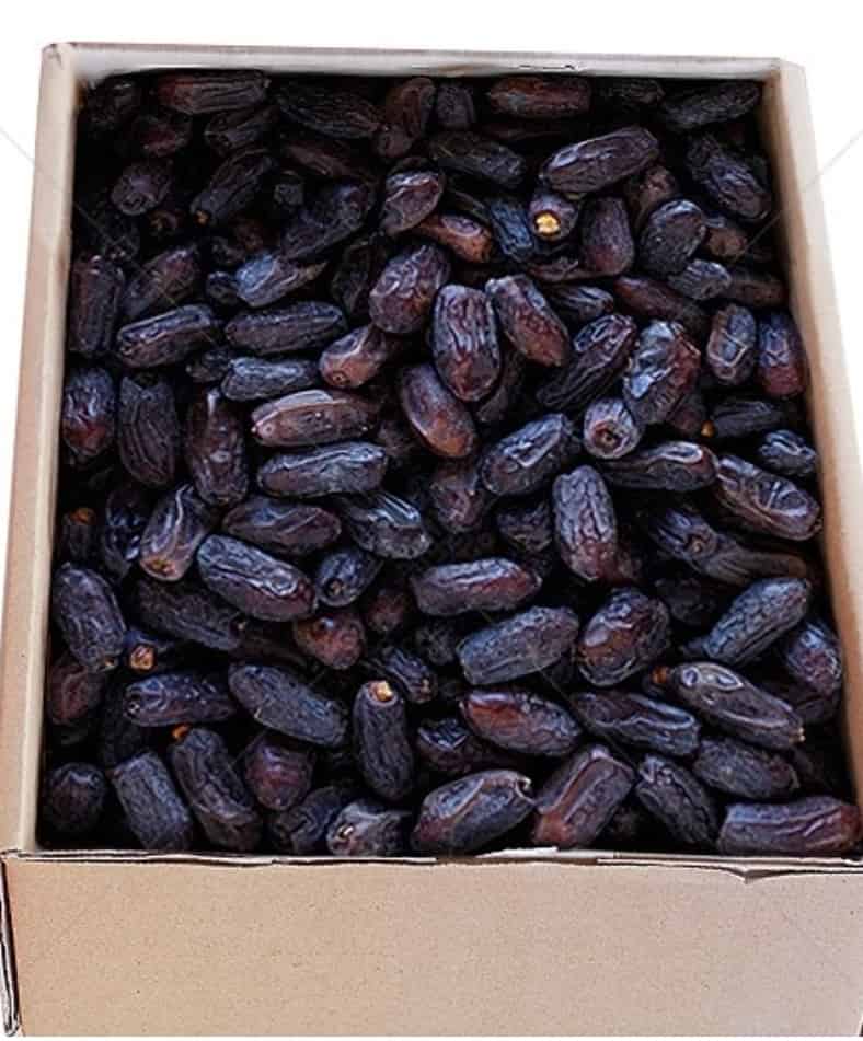 خرما ربی بلوچستان + قیمت فروش