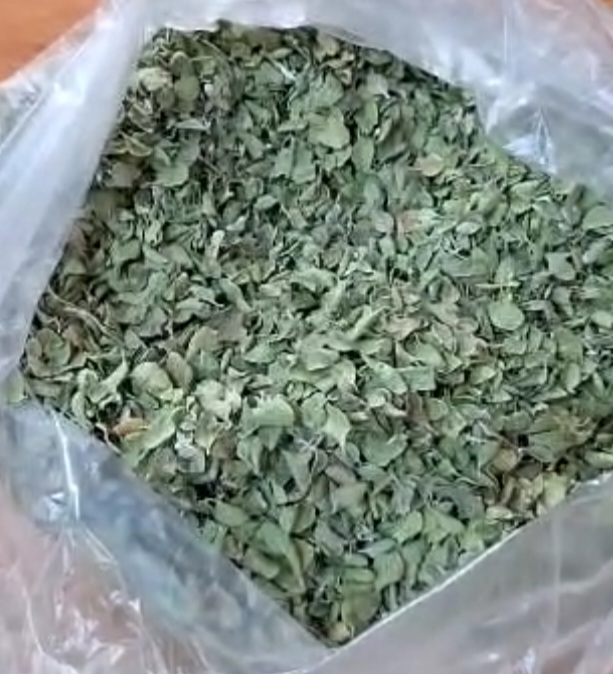 فروش آویشن پهن برگ کوهی شیرازی