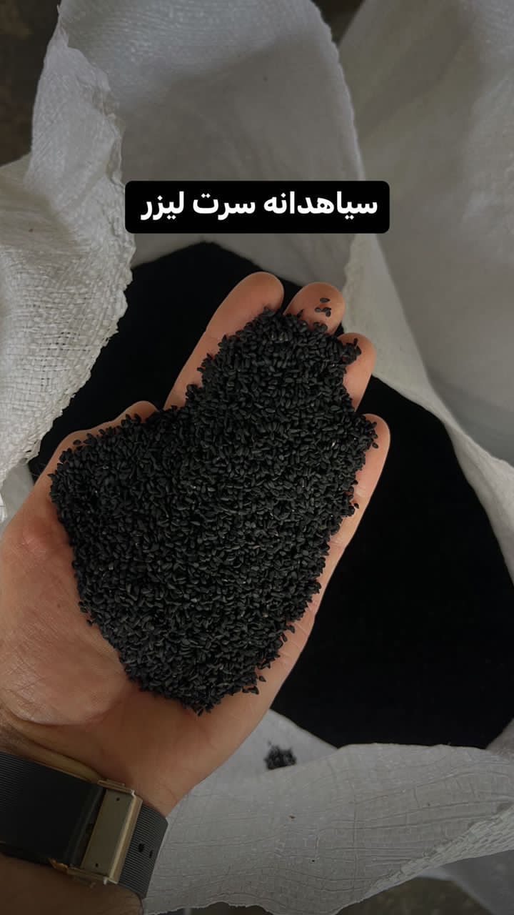 قیمت خرید سیاه دانه مرغوب