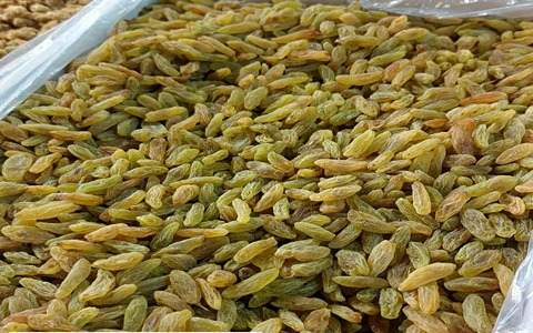 کشمش سبز آجیلی + فروش عمده