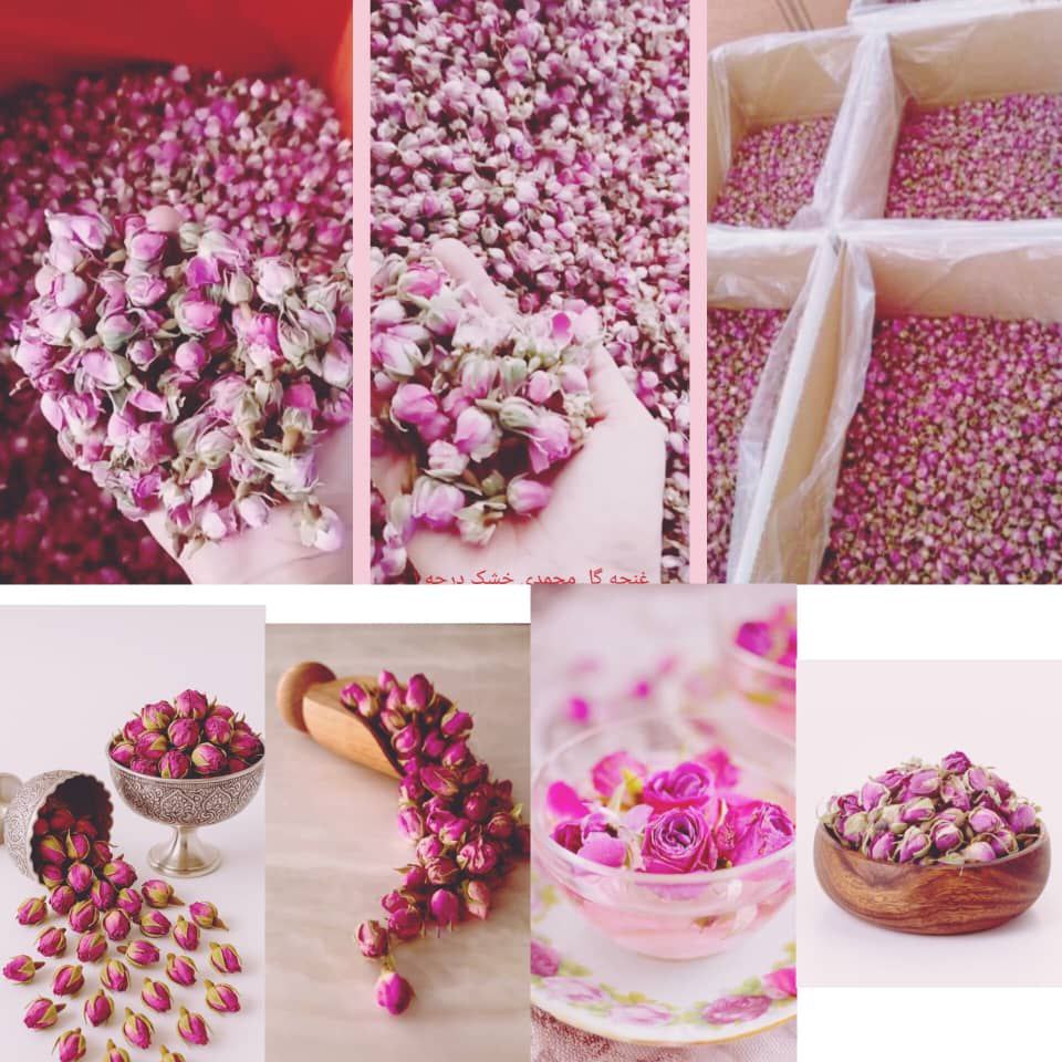 قیمت فروش غنچه گل محمدی خشک داراب + فروش عمده
