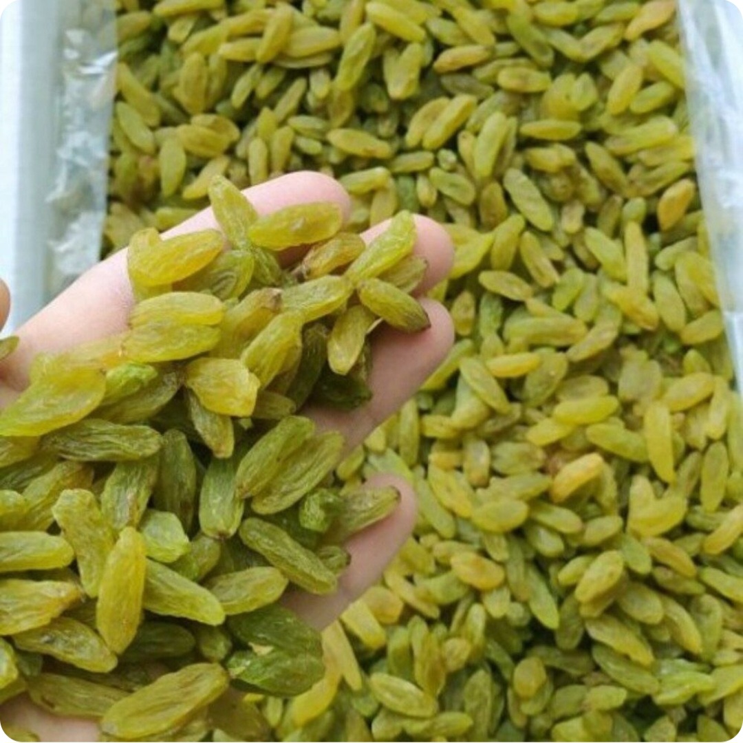 کشمش سبز قلمی کشیده بجنوردی