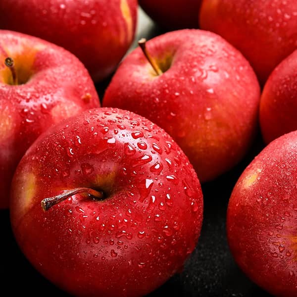 خرید عمده سیب قرمز + با کیفیت عالی ارومیه