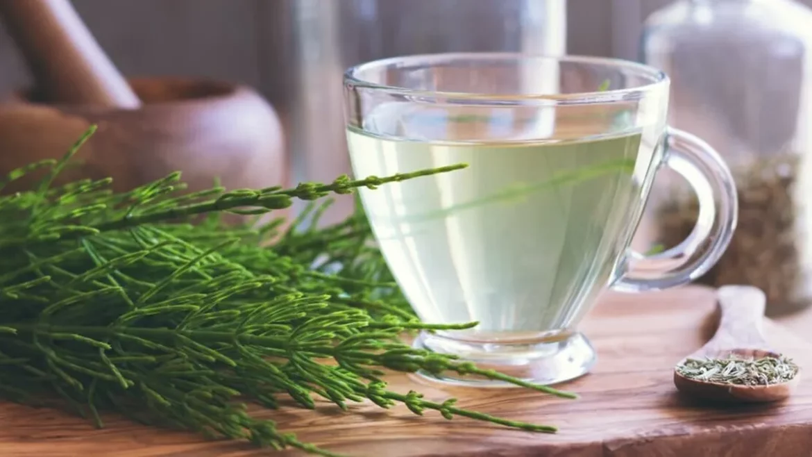 خرید عمده پر سیاوش آبشاری با قیمت ویژه + خواص درمانی استثنایی