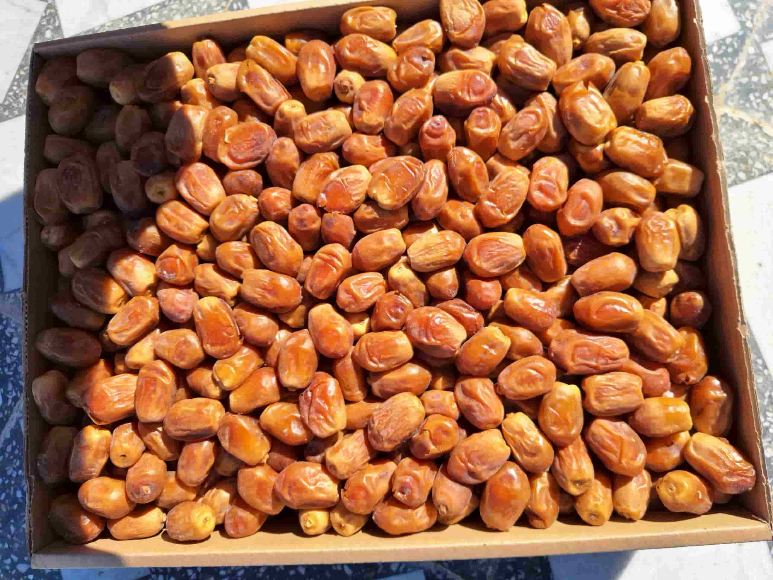 قیمت عمده خرما زاهدی درجه یک + فروش ویژه