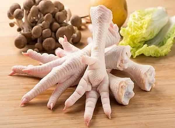 قیمت پای مرغ گلستان