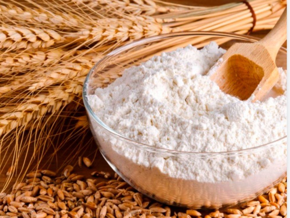 فروش استثنایی نشاسته مخصوص فالوده + قیمت عمده