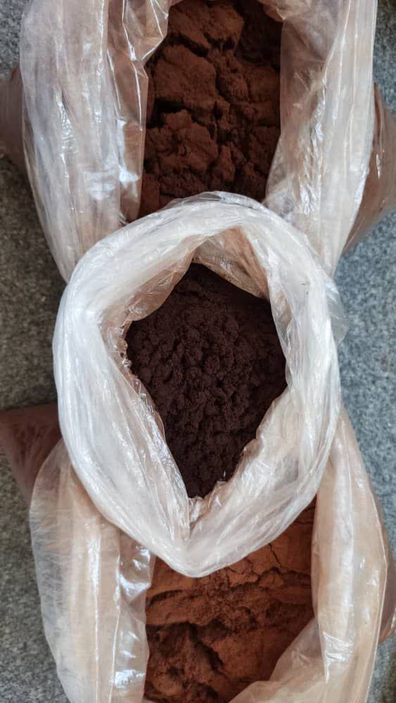تأمین قهوه هسته خرما برای فروشگاه ها و پخش کنندگان استانی؛ تولید روز، قیمت عالی
