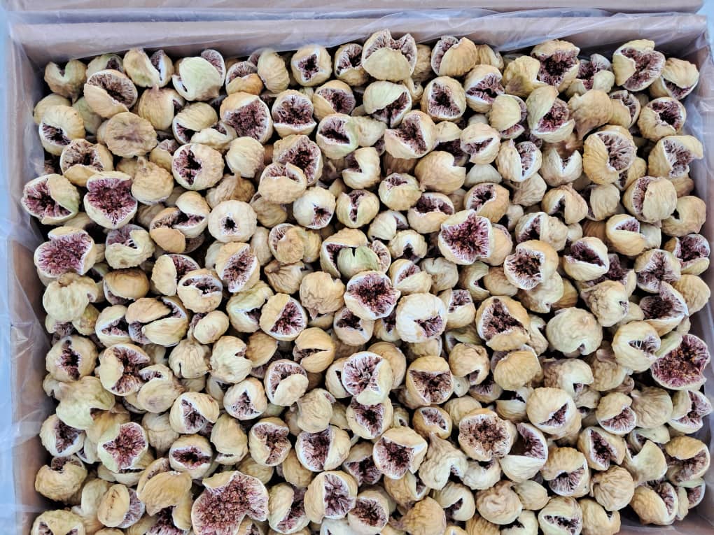 خرید انجیر خشک مرغوب + قیمت فروش عمده
