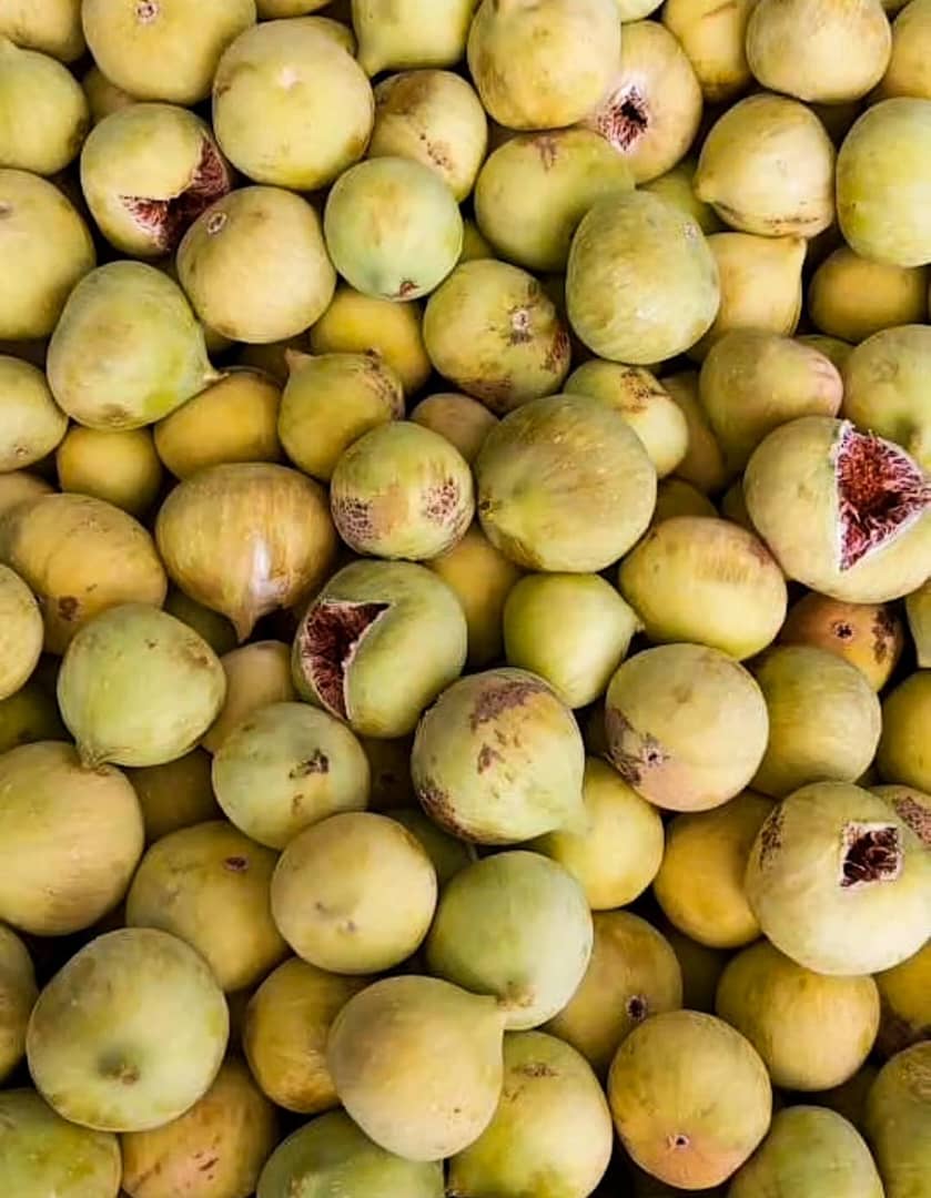 انجیر زرد تازه و خیس و درشت با قیمتی عالی