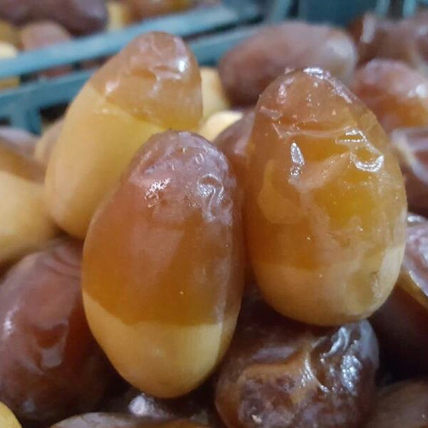 قیمت خرید رطب کبکاب بوشهر + ارزان و به صرفه