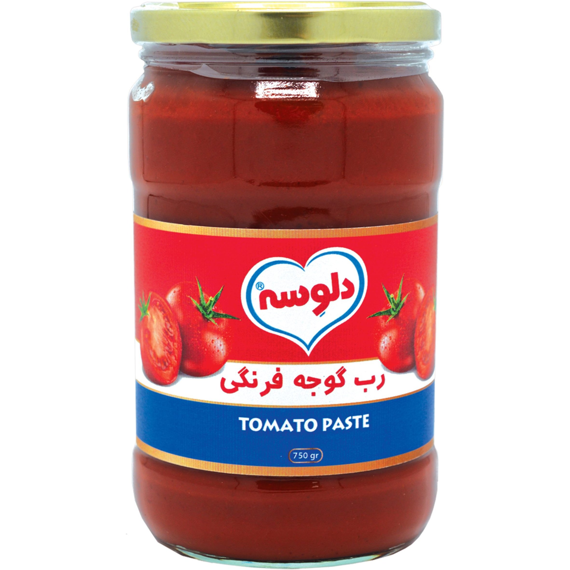 فروش عمده رب گوجه دلوسه