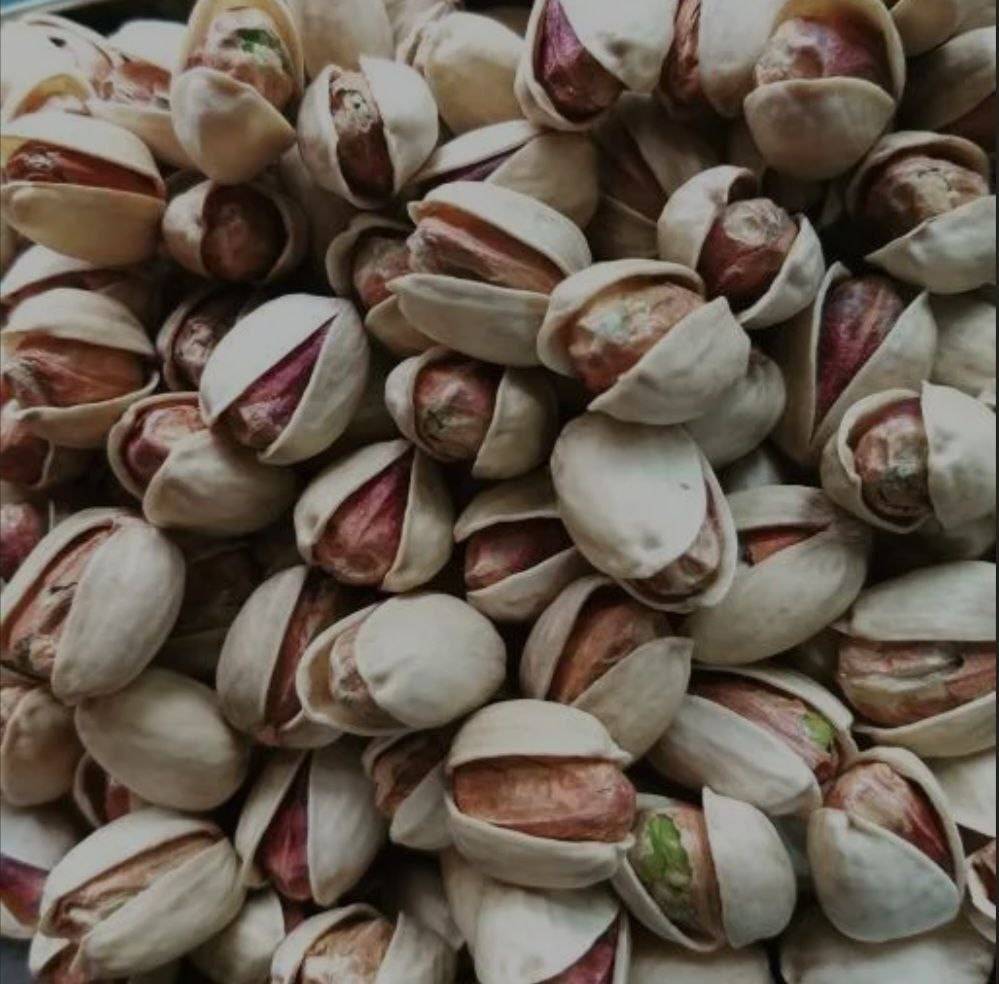 قیمت خرید پسته کله قوچی رفسنجان با فروش عمده