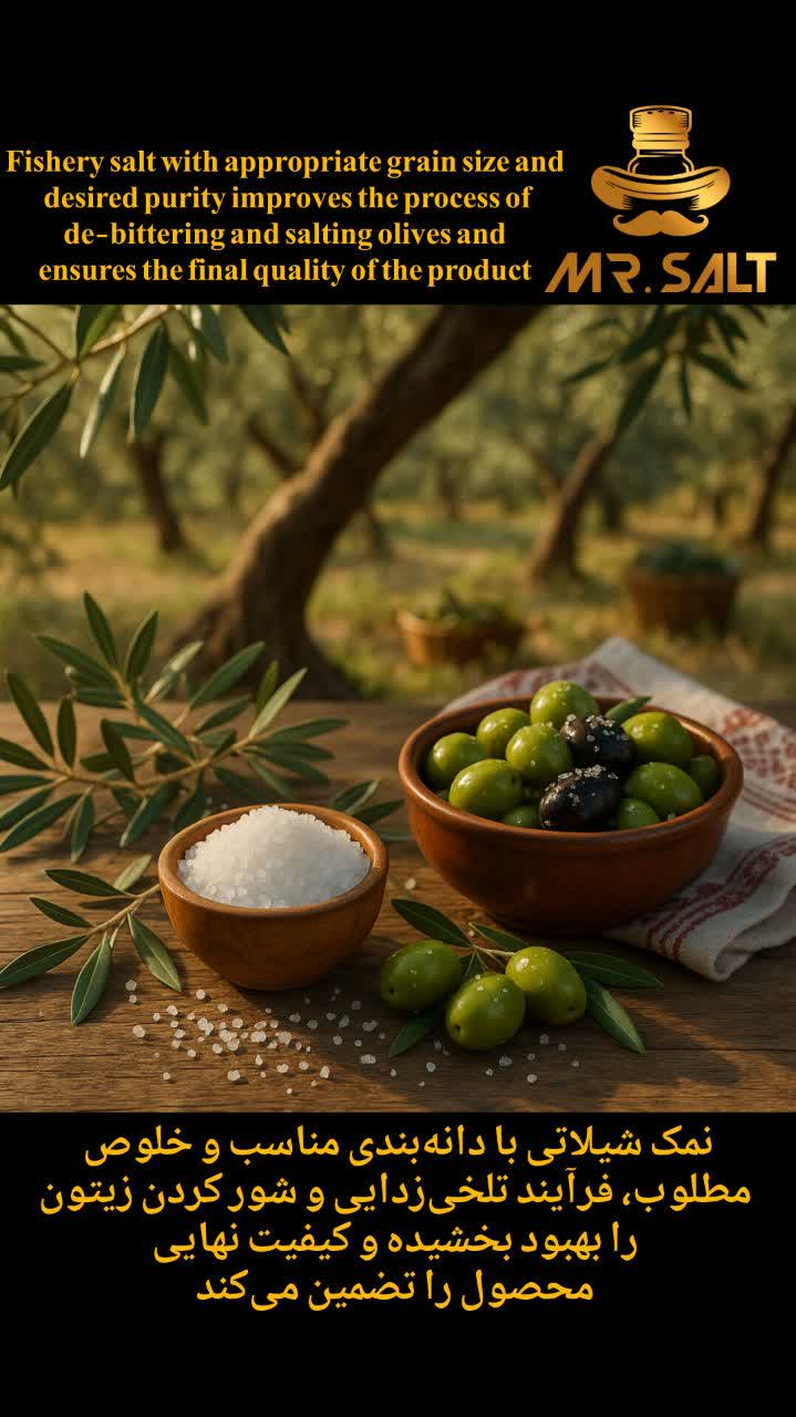 ویژگی نمک شیلاتی