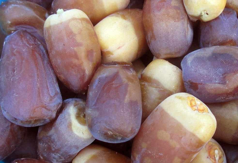 قیمت خرید رطب کبکاب بوشهر در بازار داخلی
