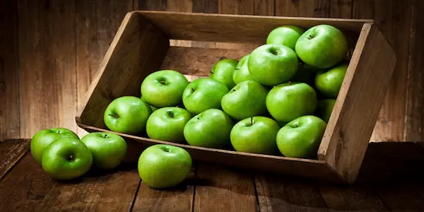 خرید سیب سبز از باغ ارومیه ارزان ترین قیمت + فروش عمده