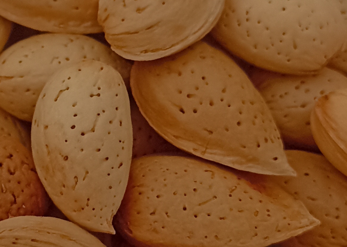 بادام‌ مرغوب و خوش طعم شهرکرد