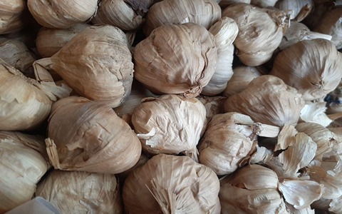 خرید و قیمت سیر سیاه درجه یک همدان + فروش عمده