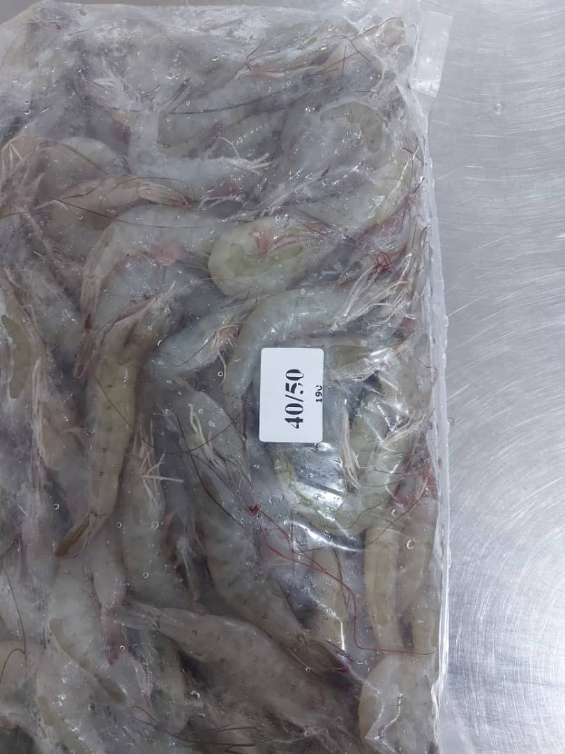 قیمت عمده میگو منجمد بوشهر