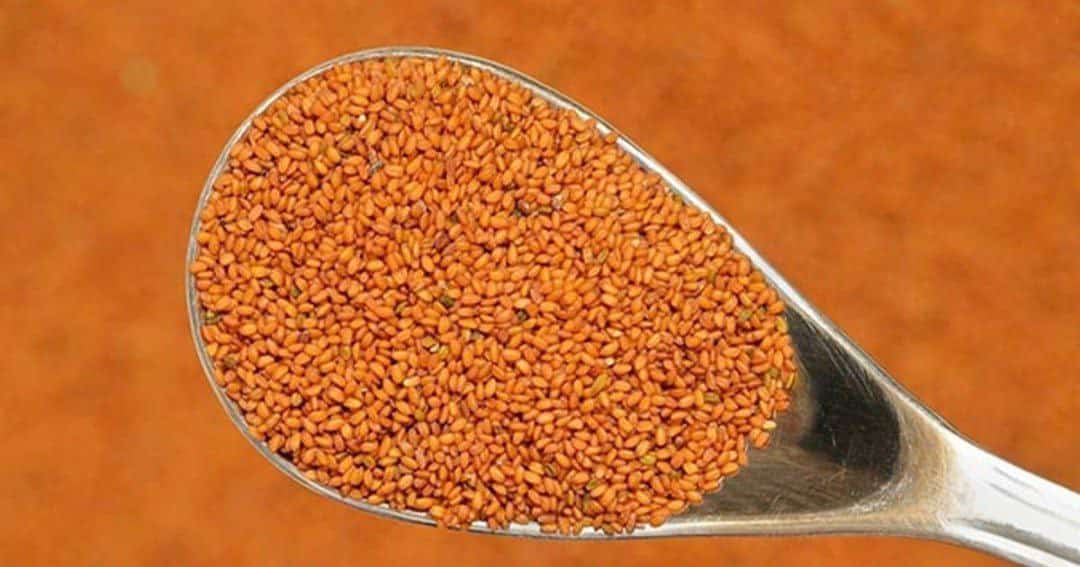 خاکشیر کولس امسالی