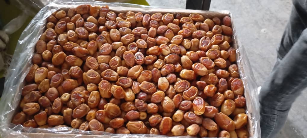 خرید خرمای زاهدی عمده