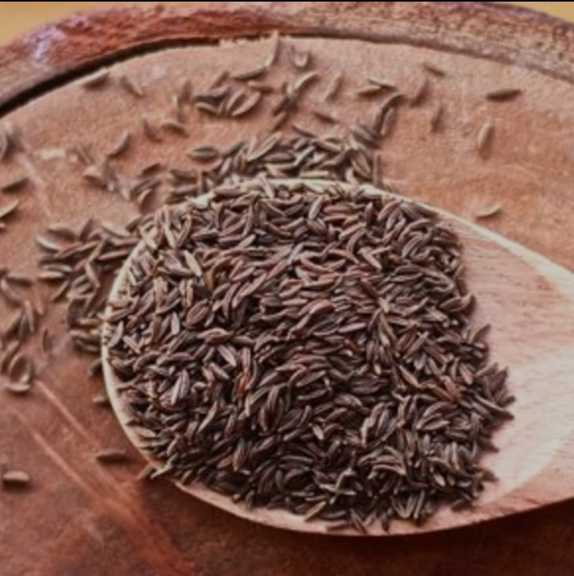 زیره کوهی خوش‌ طعم دارویی