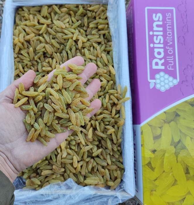 خرید کشمش لوکس کاشمر