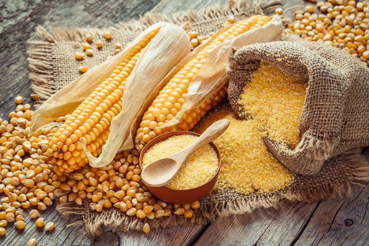 خرید و فروش گلوتن ذرت + شرایط فوق العاده