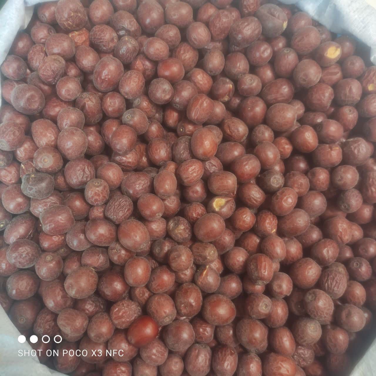 خرید عناب خشک بیرجند + پرفروش‌ ترین عناب صادراتی ایران