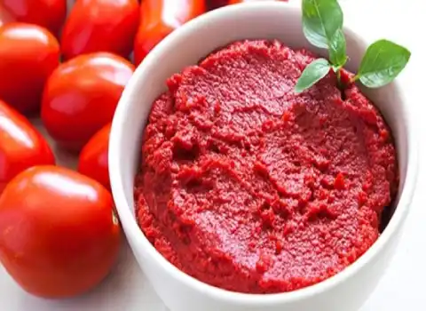 رب گوجه حلب ۴۲۰۰ گرمی