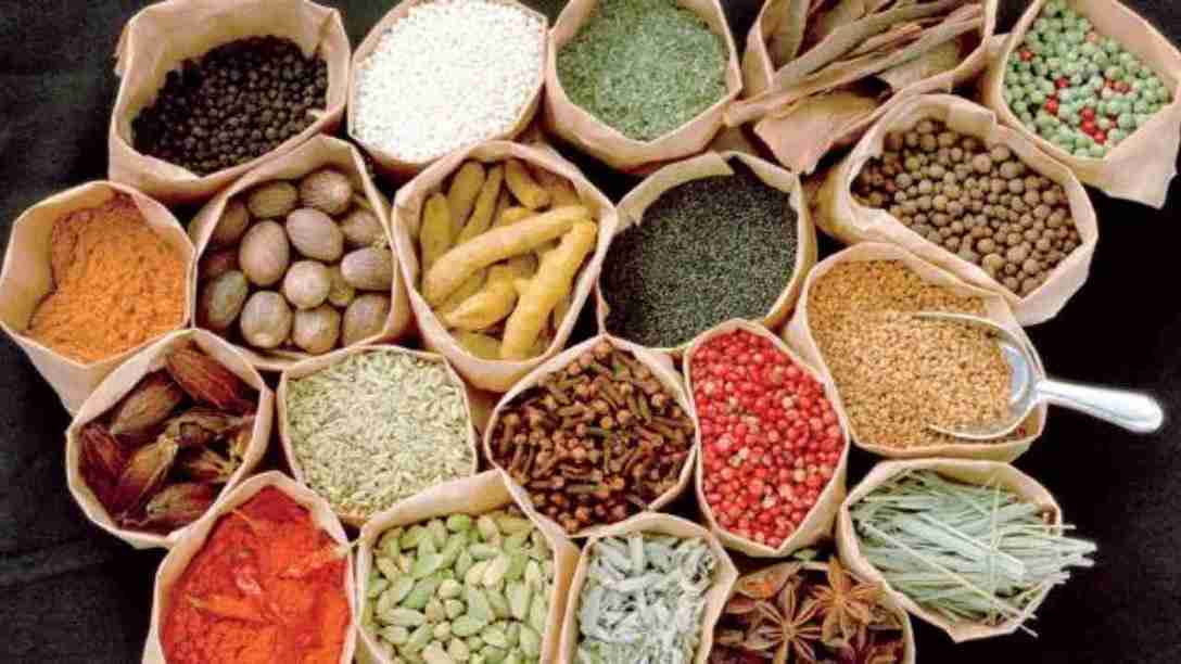 خرید گیاهان دارویی مناسب اقلیم استان فارس
