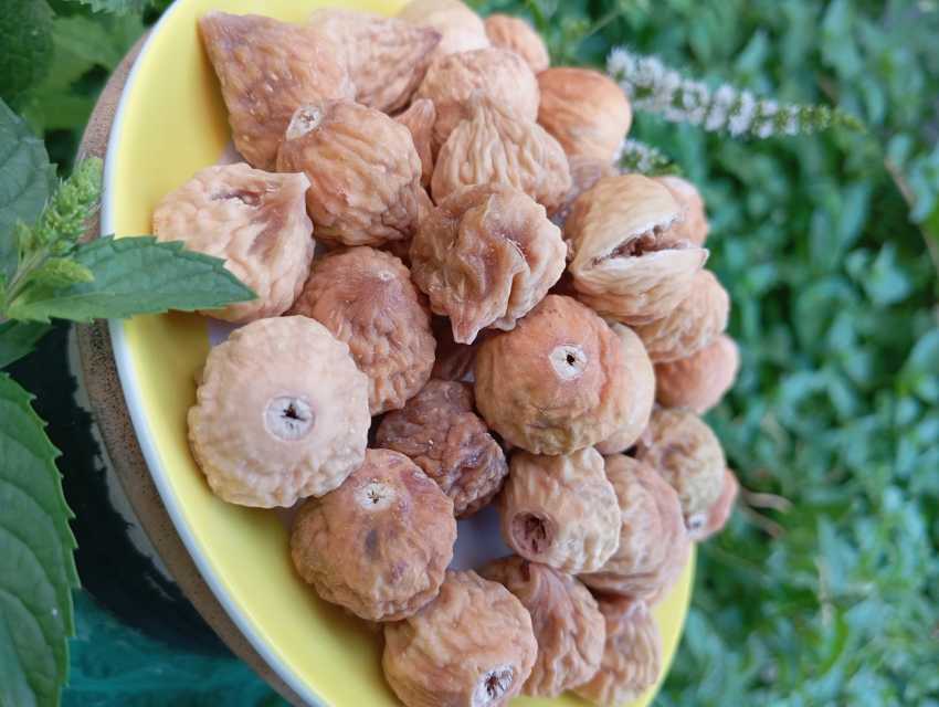 انجیر خشک مرغوب سایز آ