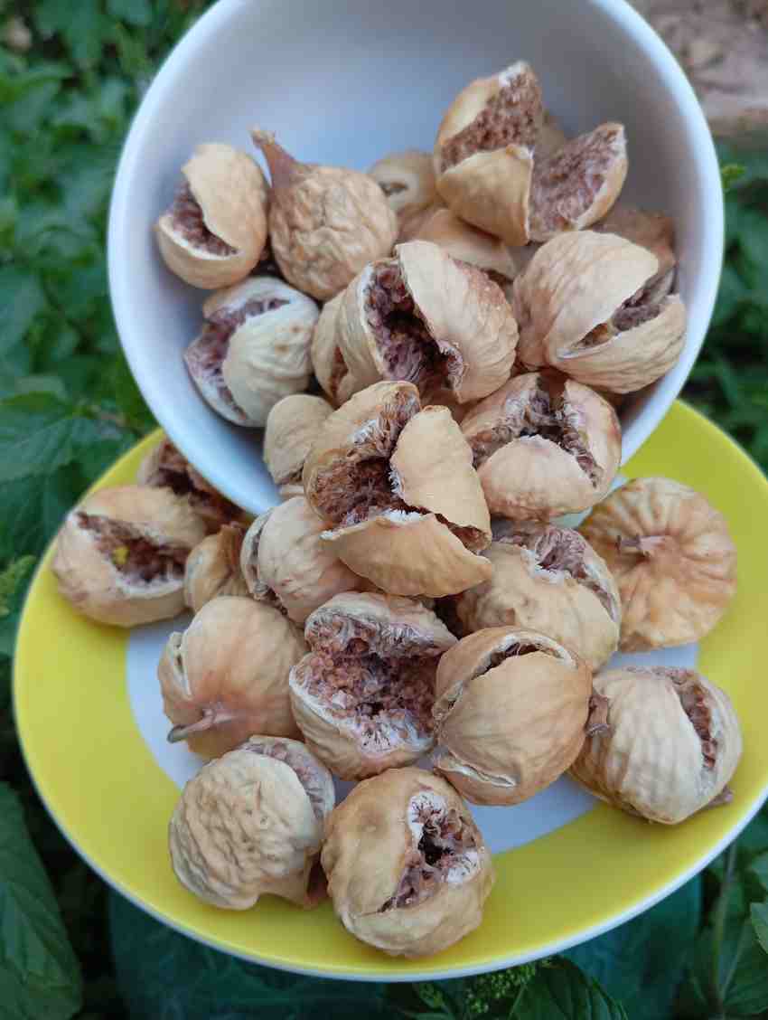 خرید انجیر خشک درجه یک پرک + خرید ویژه